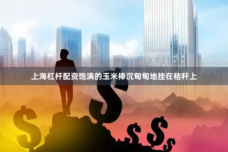 上海杠杆配资饱满的玉米棒沉甸甸地挂在秸秆上