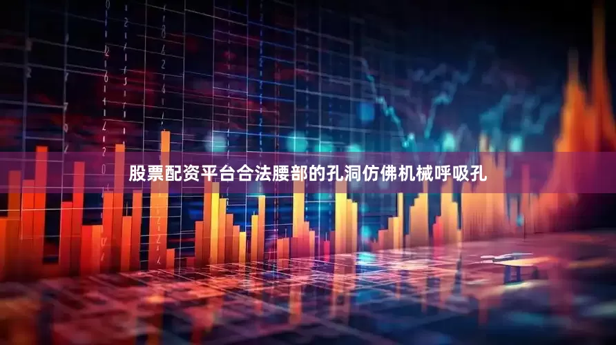 股票配资平台合法腰部的孔洞仿佛机械呼吸孔