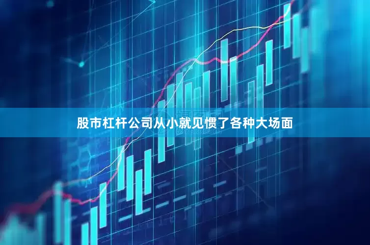 股市杠杆公司从小就见惯了各种大场面