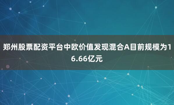 郑州股票配资平台中欧价值发现混合A目前规模为16.66亿元