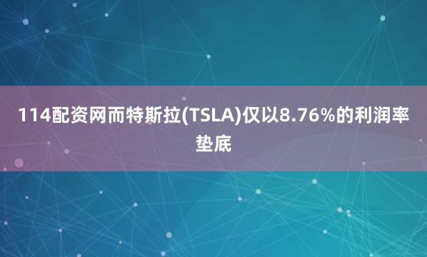 114配资网而特斯拉(TSLA)仅以8.76%的利润率垫底