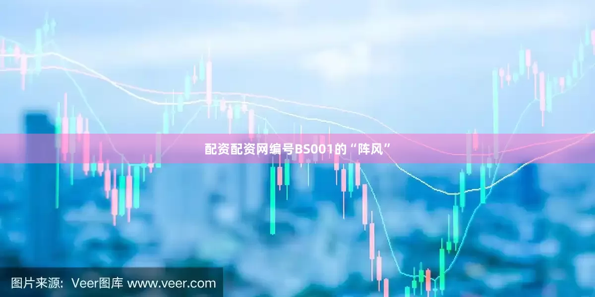配资配资网编号BS001的“阵风”
